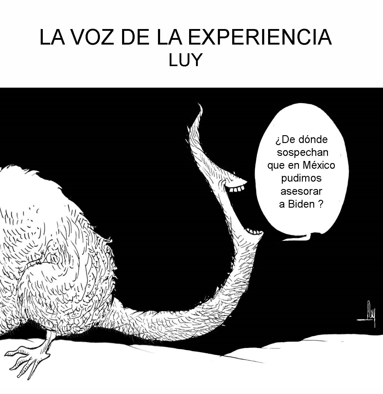 LA VOZ DE LA EXPERIENCIA-LUY